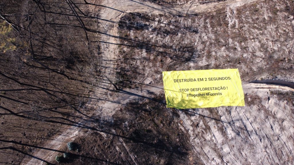 Fotografia de tarja com mensagem Destruída em 2 segundos, campanha #Together4Forests