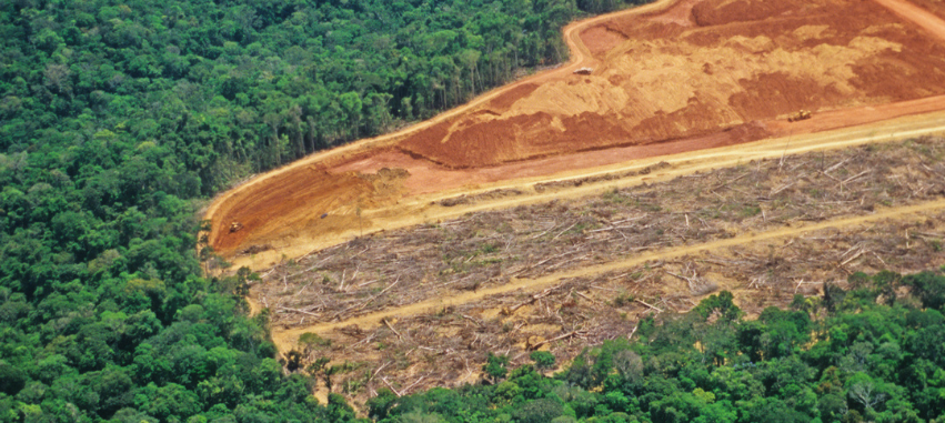 Imagem com uma área de floresta que foi Aldo de desflorestação para instalação de novas áreas agrícolas.