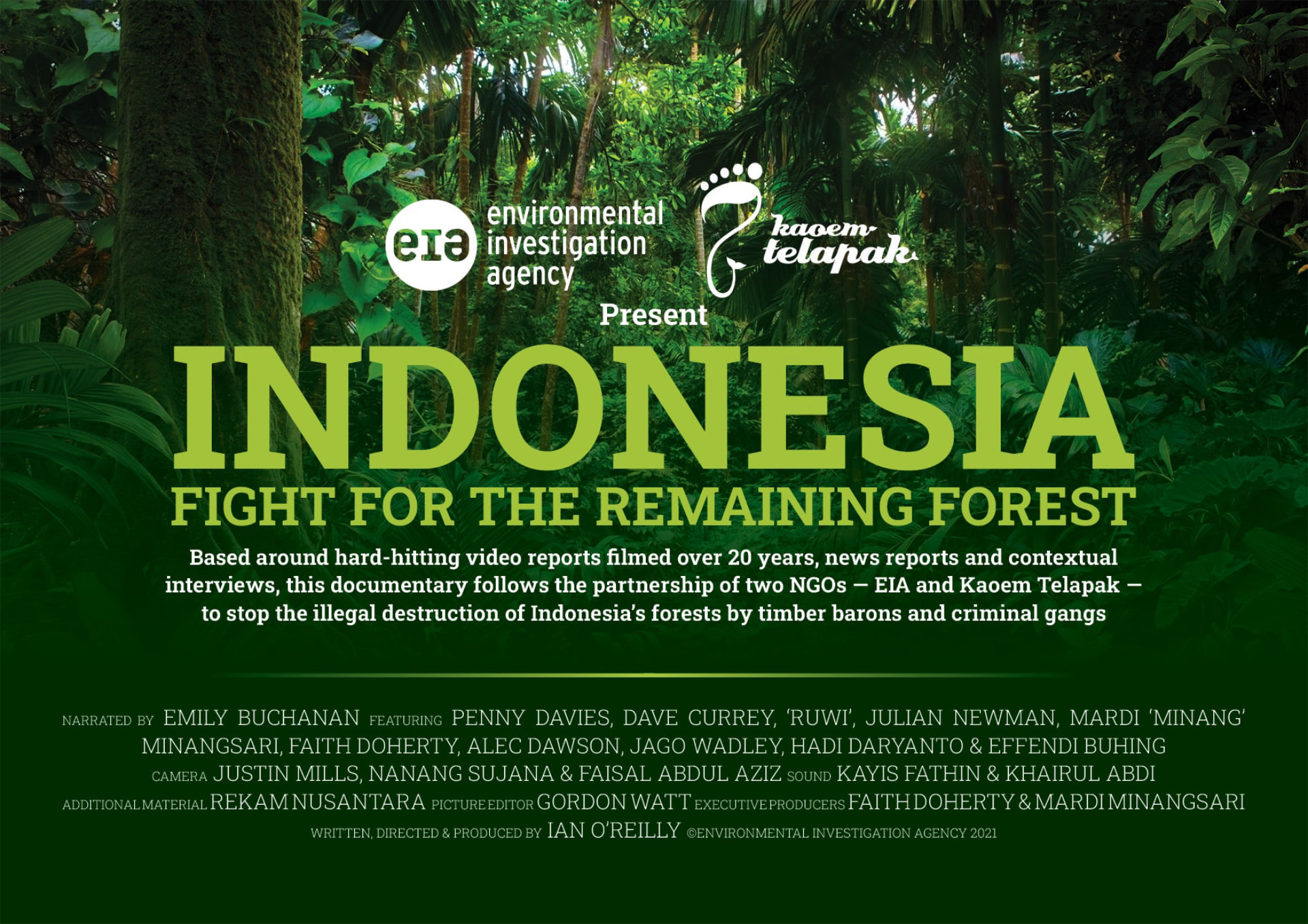 Documentário “A Indonésia luta pelas últimas florestas”