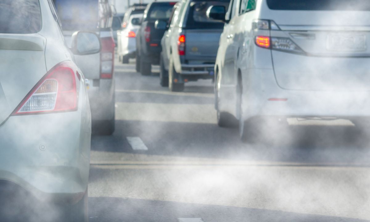 Emissões em Portugal ZERO alerta que transportes vão em contramão