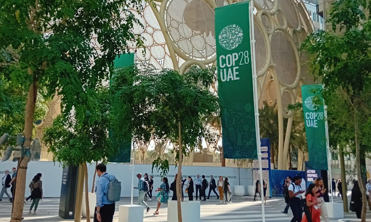 COP28: acordo de Paris não chega, é preciso retirar o CO2 acumulado na  atmosfera desde a Revolução Industrial - Expresso