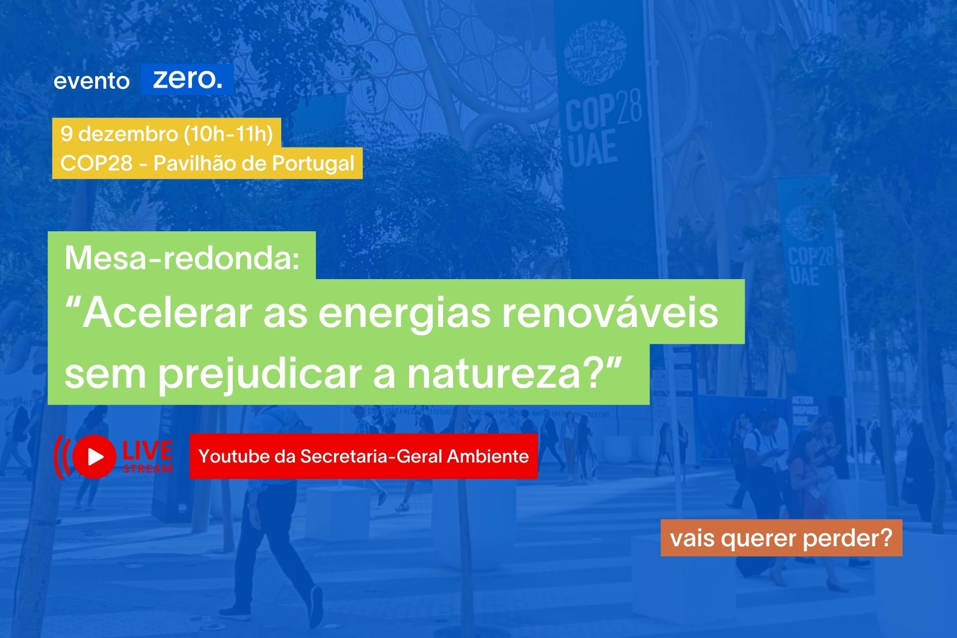 Mesa-redonda na COP28: Acelerar as energias renováveis sem prejudicar a natureza?
