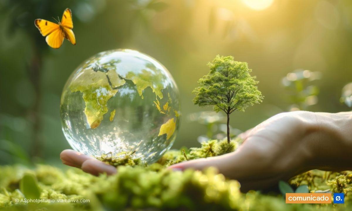 globo em vidro com continentes verdes mão com arvore e borboleta