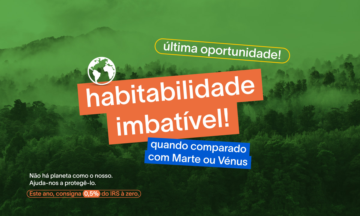 Consignação de 0,5% do IRS à ZERO