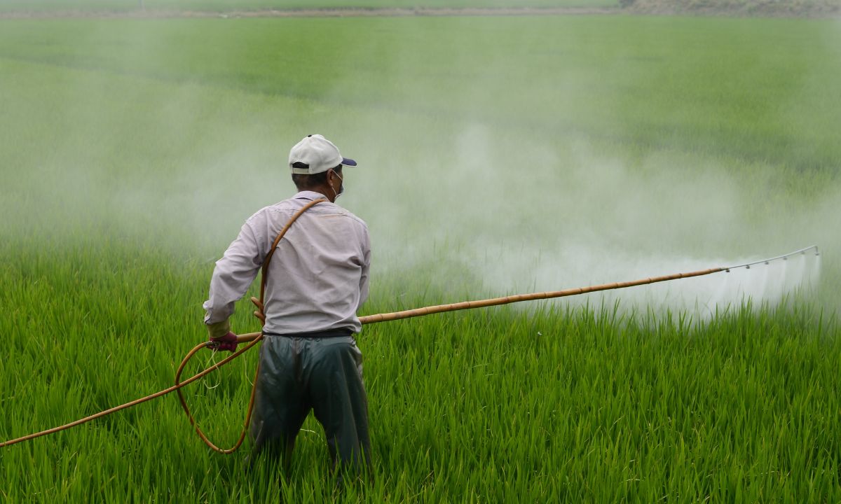 Trabalhador aplicar pesticida no campo