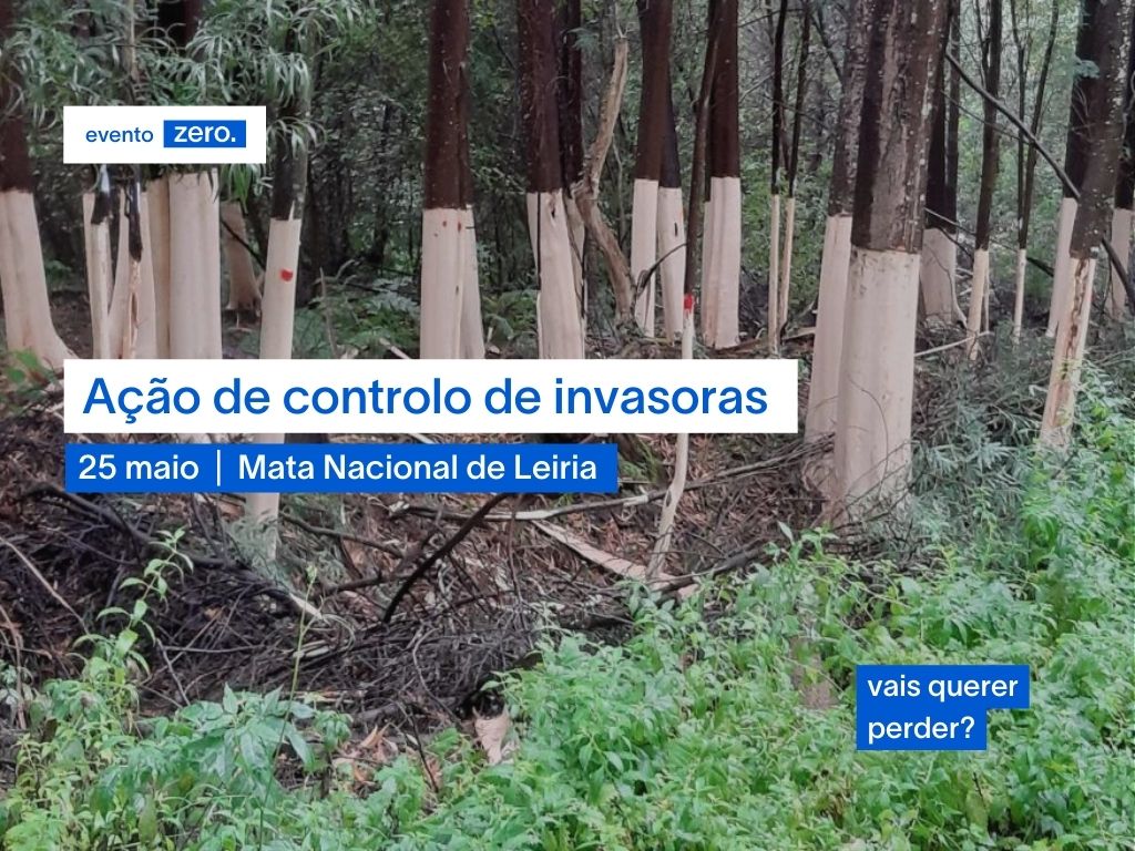 Ação de controlo de invasoras: 25 maio – Mata Nacional de Leiria