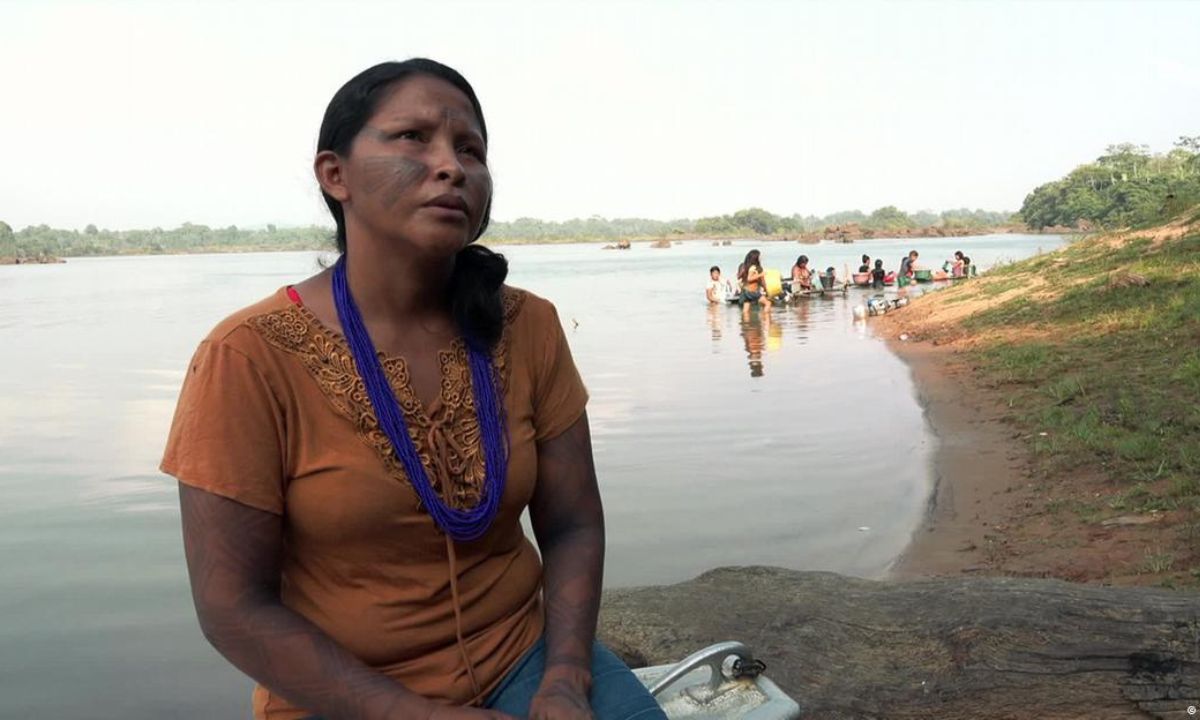 Documentário “How the car industry is threatening the rainforest”