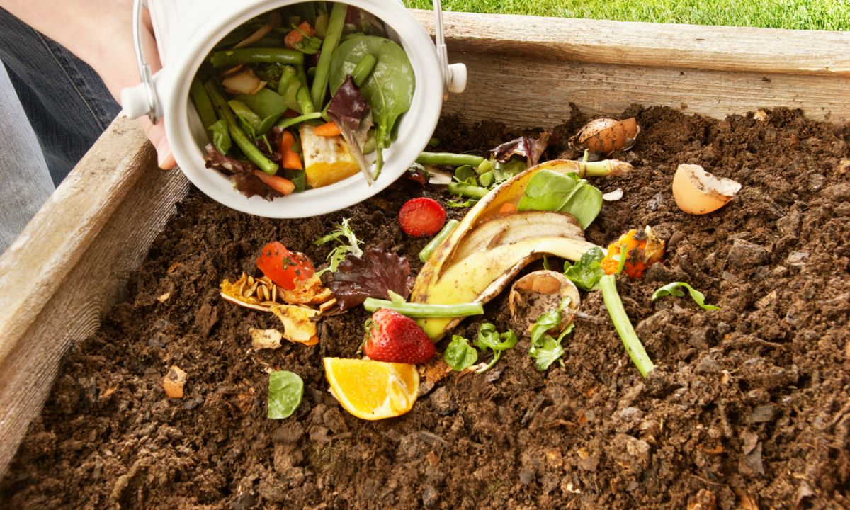 Compostagem comunitária