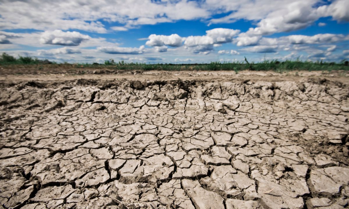 Portugal não vencerá a desertificação sem proteger as suas pastagens