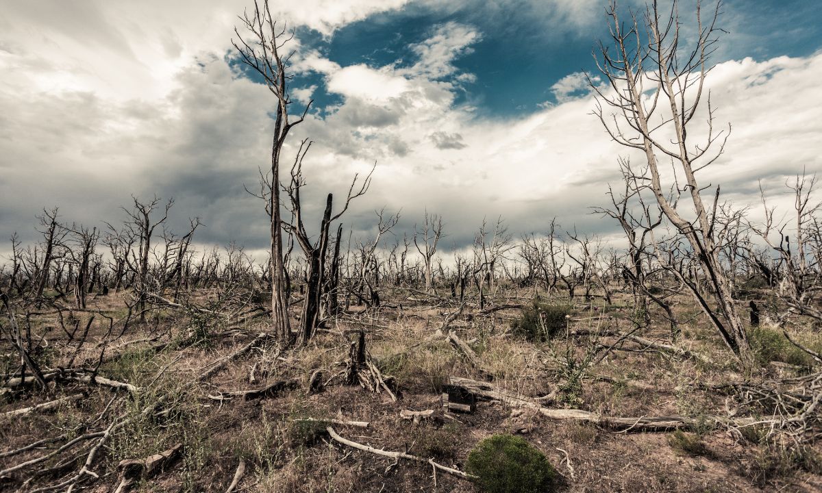 Alterações climáticas seca