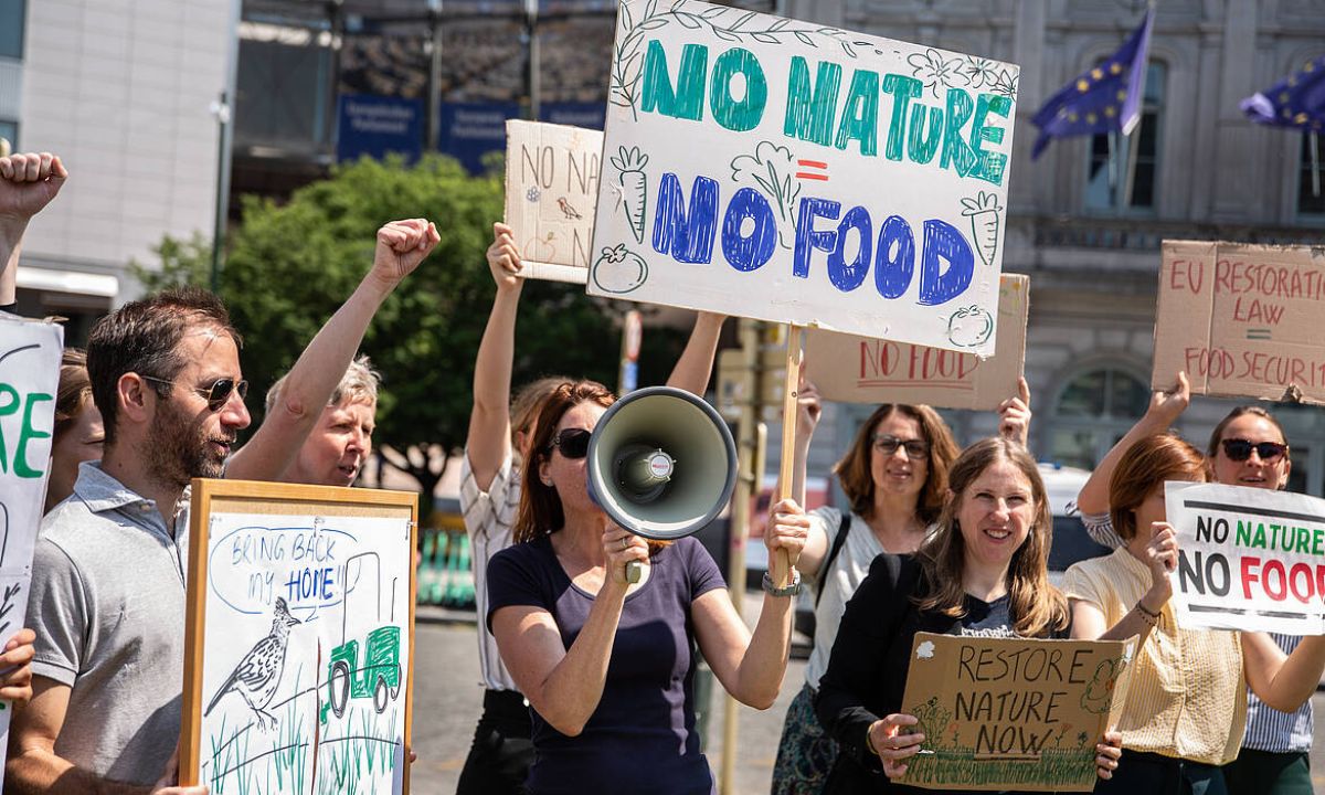 Manifestação a favor da Lei do Restauro da Natureza
