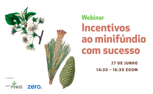 Webinar “Incentivos ao minifúndio com sucesso”