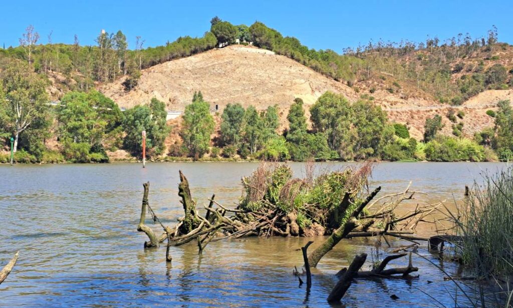 Rio Guadiana