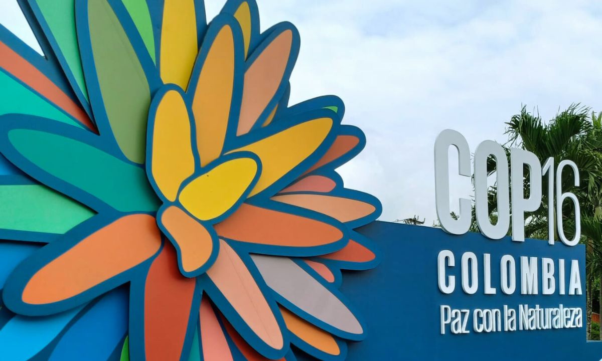COP16 Biosiversidade