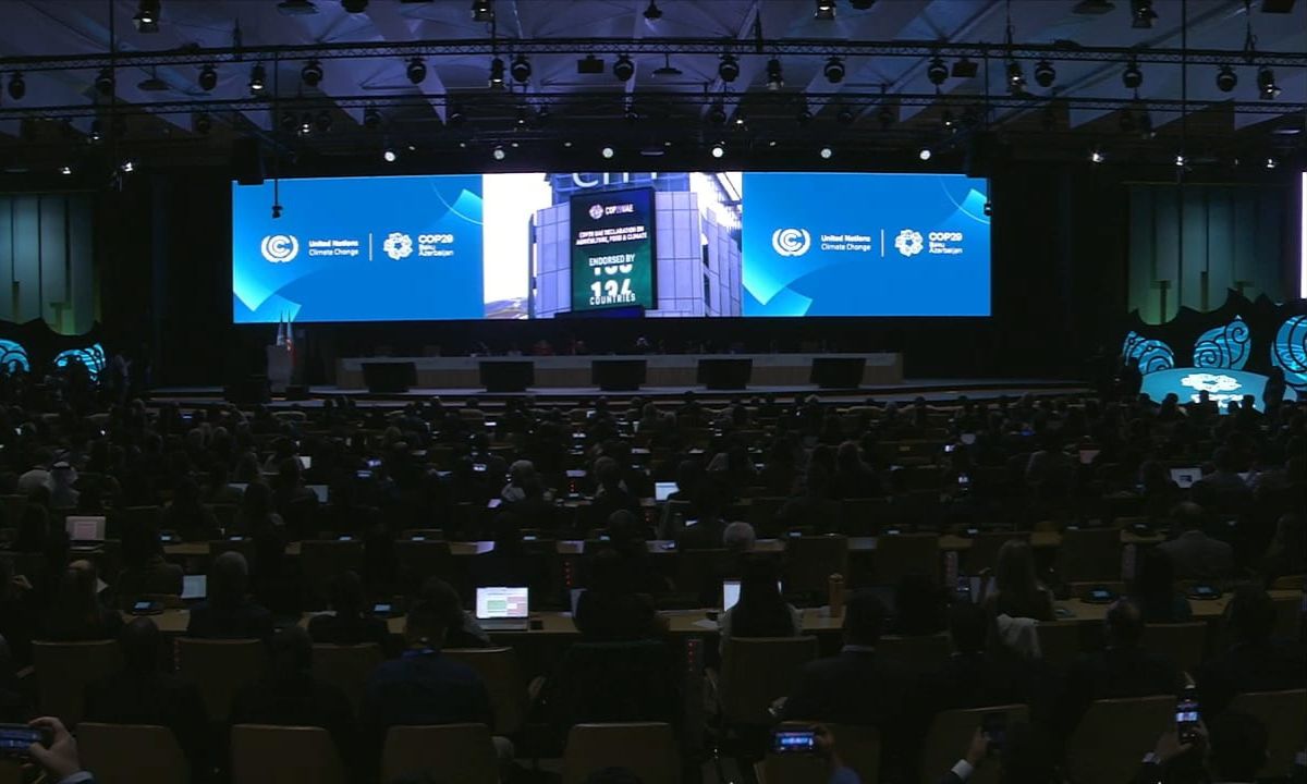 Assembleia COP29