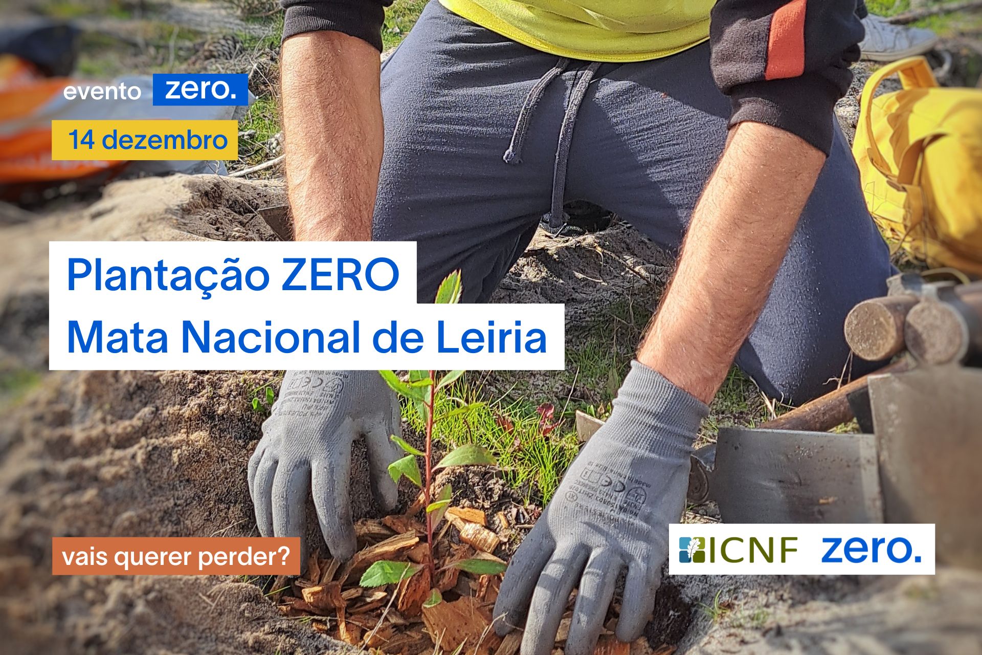 Plantação ZERO: 14 dezembro – Mata Nacional de Leiria