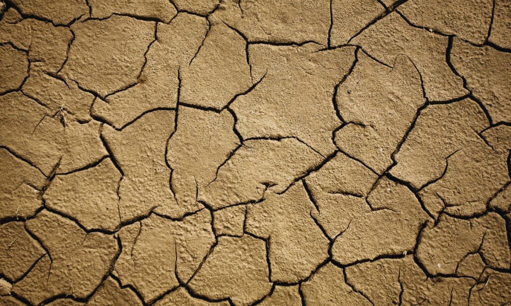 COP16 – Conferência sobre Combate à Desertificação começa amanhã; ZERO quer prioridade a políticas e medidas em Portugal
