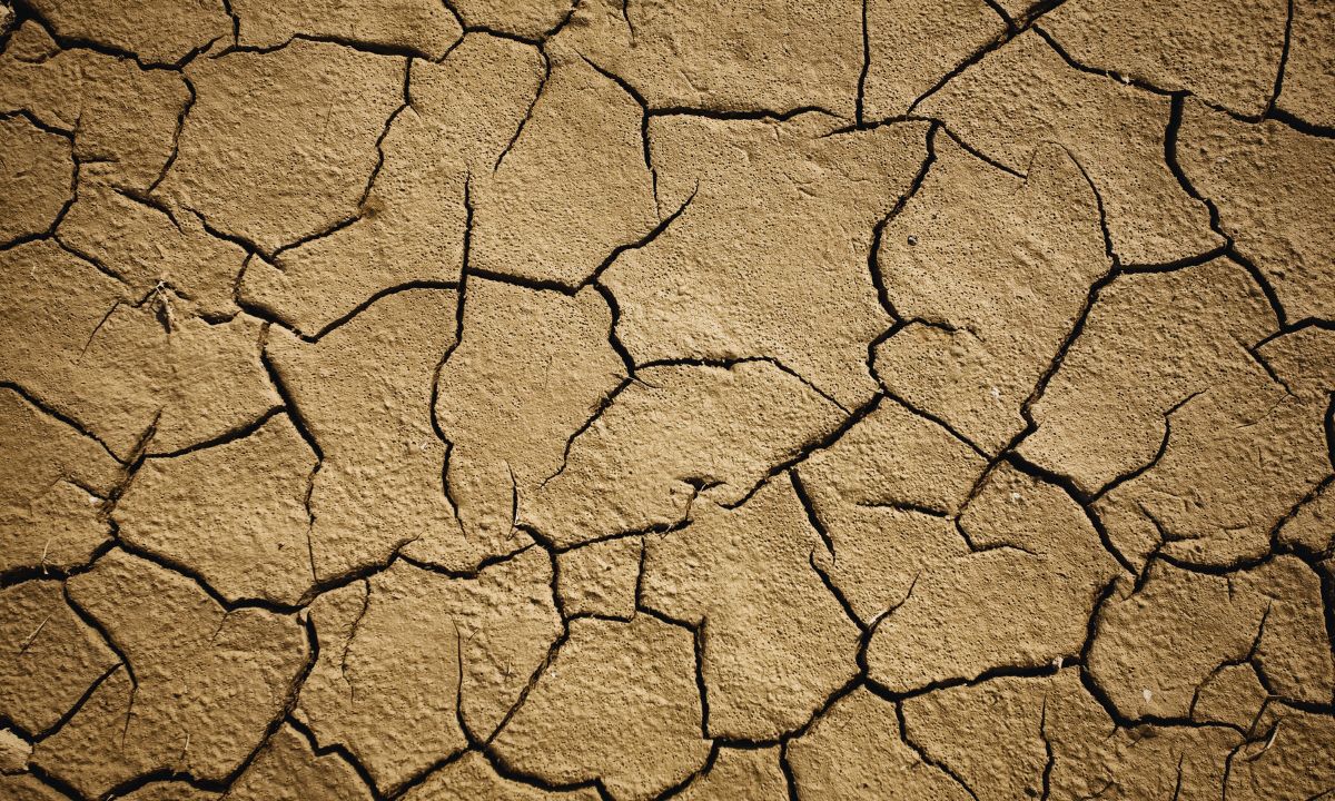 COP16 – Conferência sobre Combate à Desertificação começa amanhã; ZERO quer prioridade a políticas e medidas em Portugal