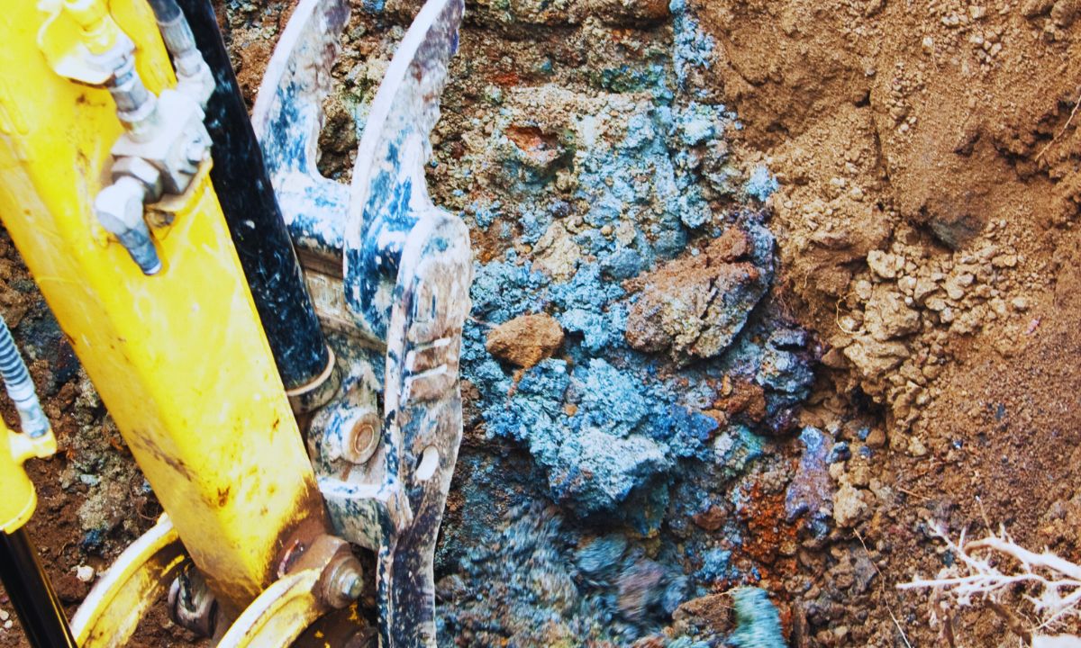 Dia Mundial do Solo – ZERO quer legislação para controlo da venda de terrenos potencialmente contaminados