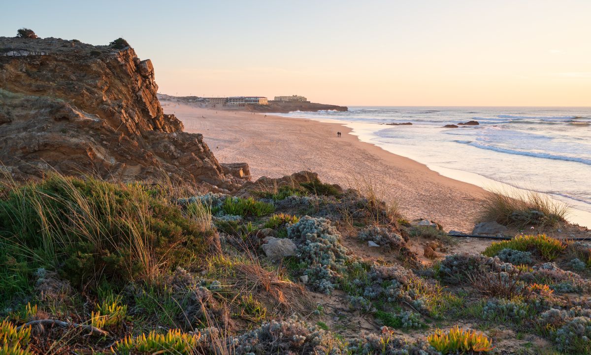 ZERO considera inaceitáveis as áreas de Reserva Ecológica Nacional onde se poderá construir