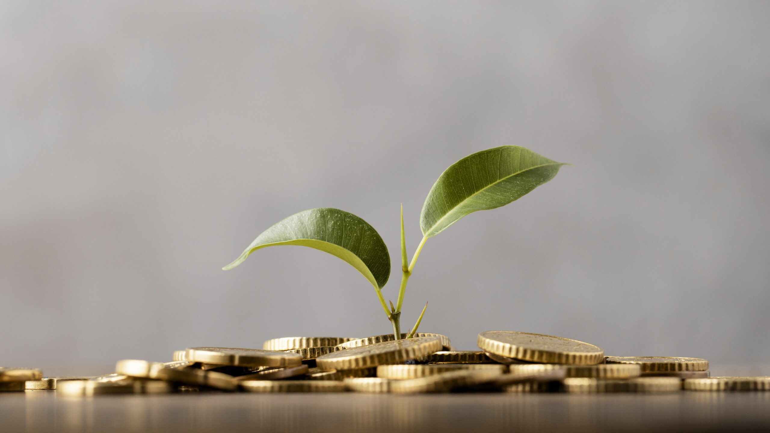 Entidades financiadoras da ZERO – 2024