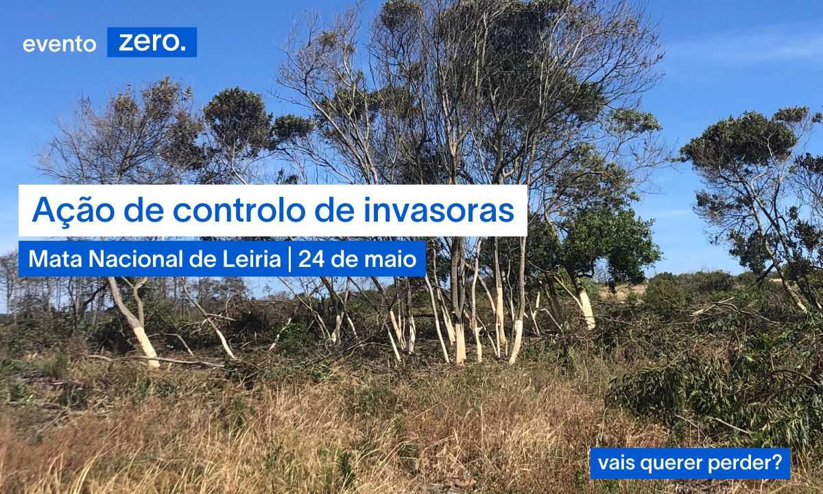 Ação de controlo de invasoras — 24 maio | Mata Nacional de Leiria