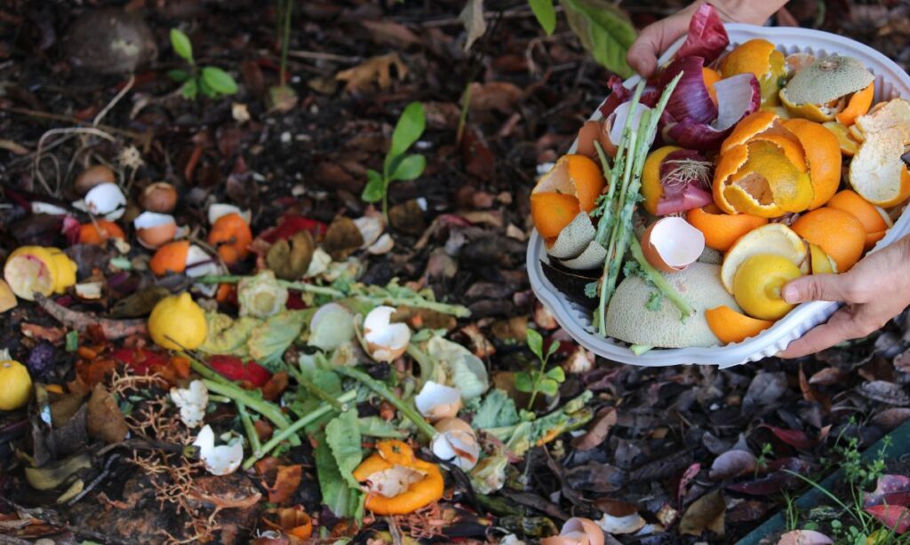 ZERO, SILVEX e NOVAMONT levam compostagem de biorresíduos a 30 escolas