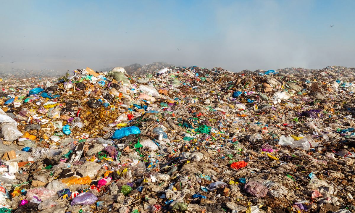 GreenWatch: Incineração de biorresíduos: Solução ou falso remédio?