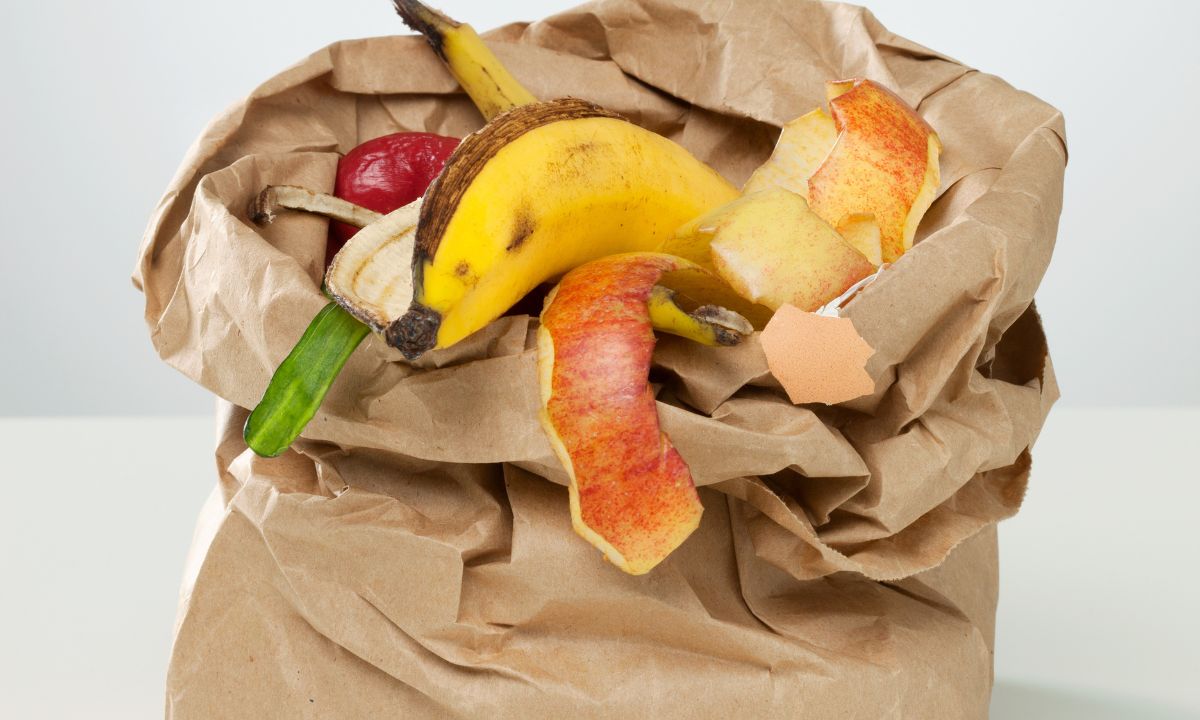 Usar saco compostável ou não usar sacos na separação dos biorresíduos?