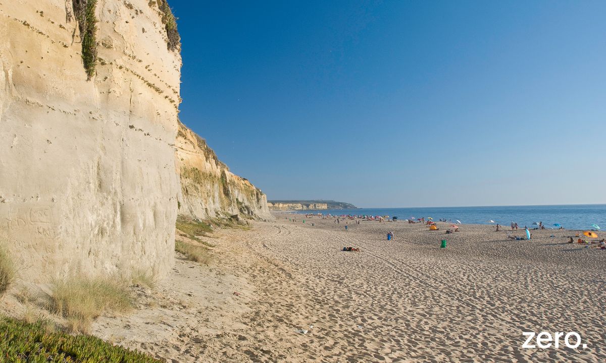 SOS Meco: Não aos mega projetos! Sim à Natureza! Sim ao Meco livre!
