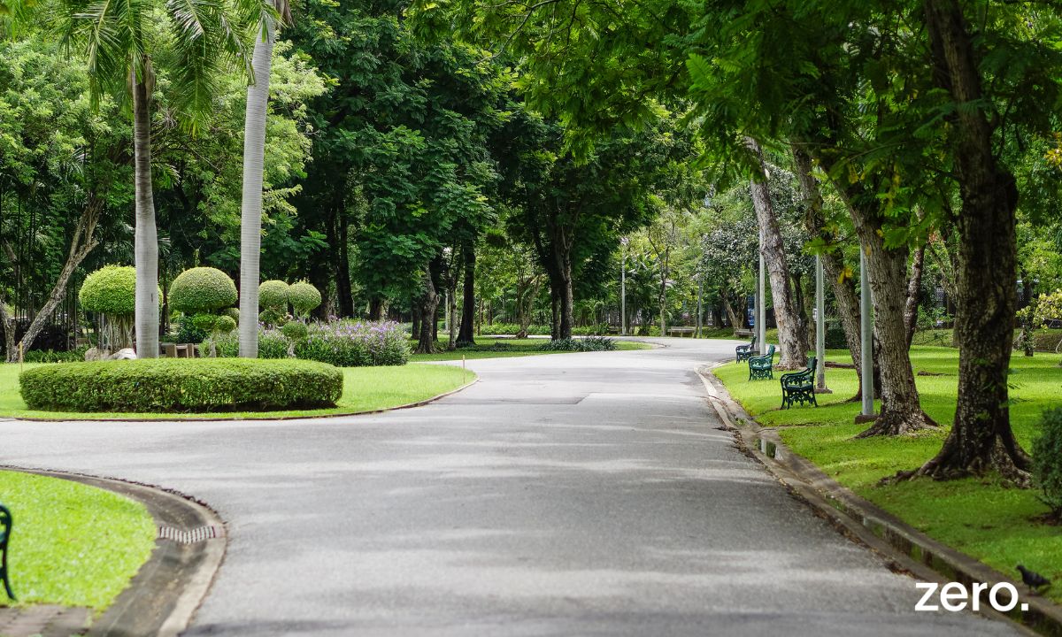 Soluções baseadas na Natureza (“SbN”) – o que são?