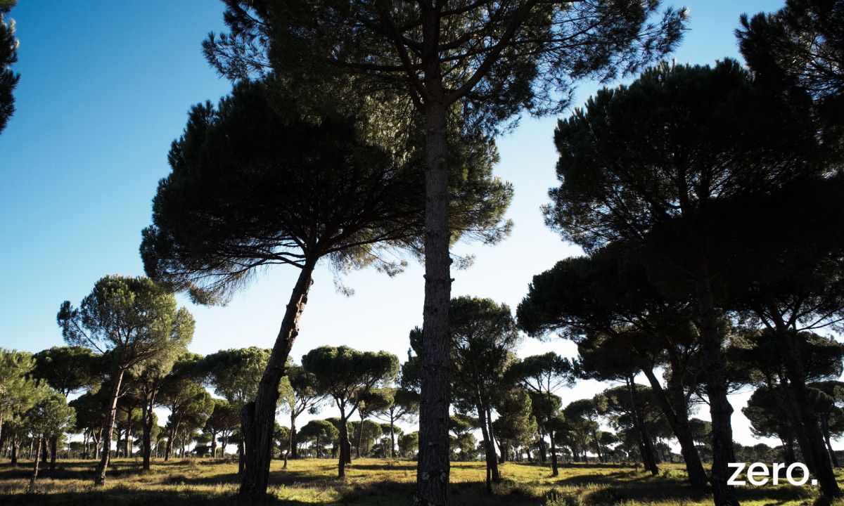 Reformulação do Projeto da Mina da Lagoa Salgada (Artigo 16o do RJAIA)