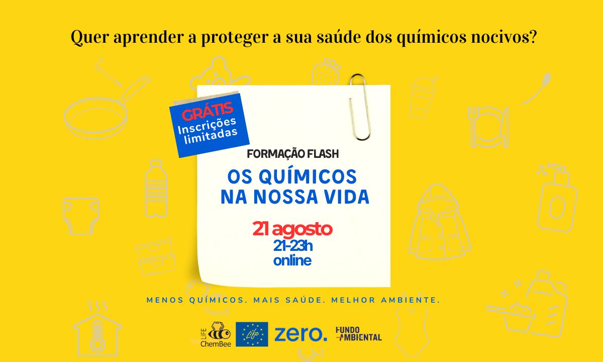Formação flash 21 agosto