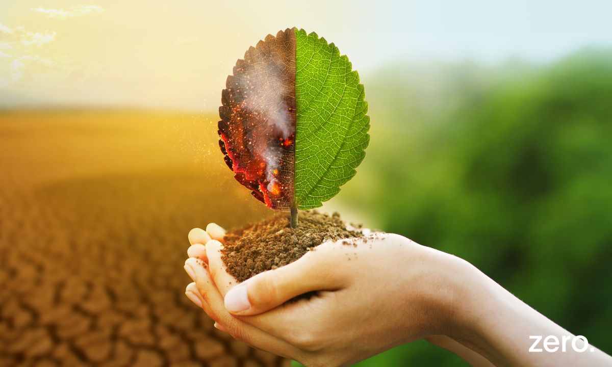 Fundos de Coesão para Portugal abaixo do necessário para o clima