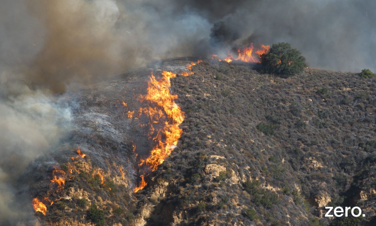 Incêndios – estabilização dos terrenos deve ser feita rapidamente e de forma expedita