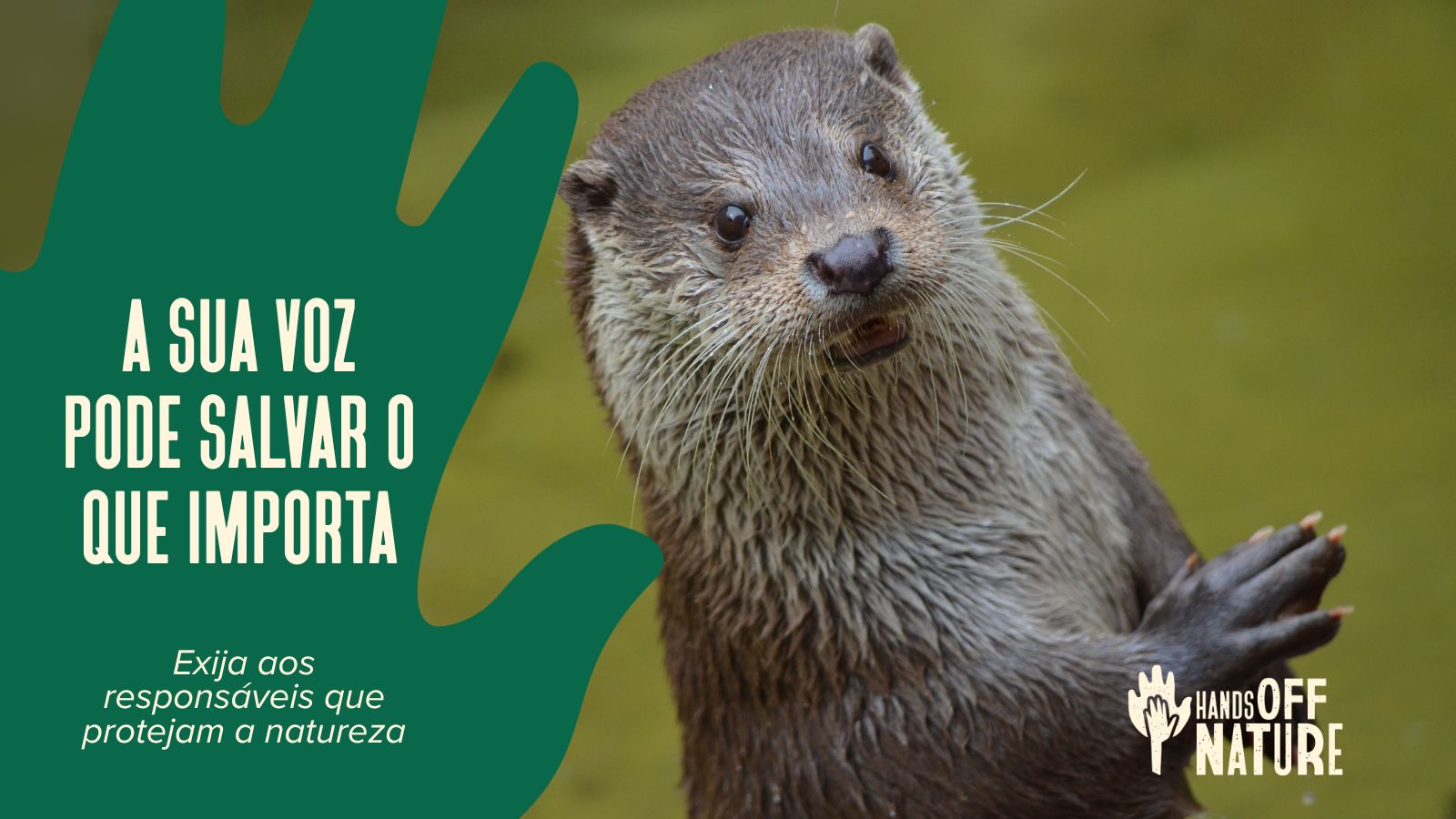 Aja agora! Não deixe a UE enfraquecer a proteção da natureza