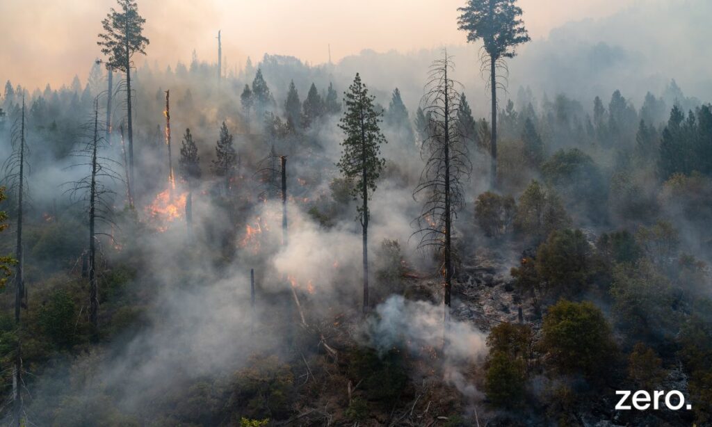 ZERO entende que planos municipais e regionais de ação climática são parte da resposta às ondas de calor e aos incêndios rurais – mas importa elaborá-los