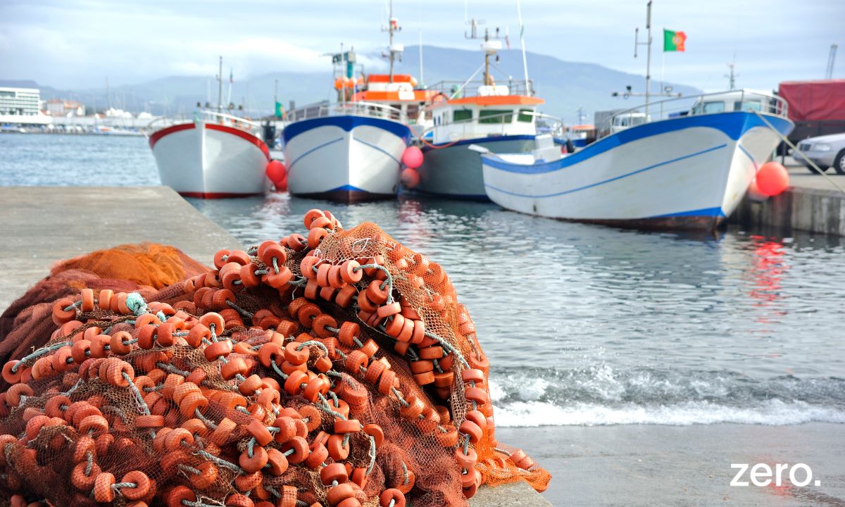 Plano de Reestruturação do Setor das Pescas na Região Autónoma dos Açores  (2025–2030)
