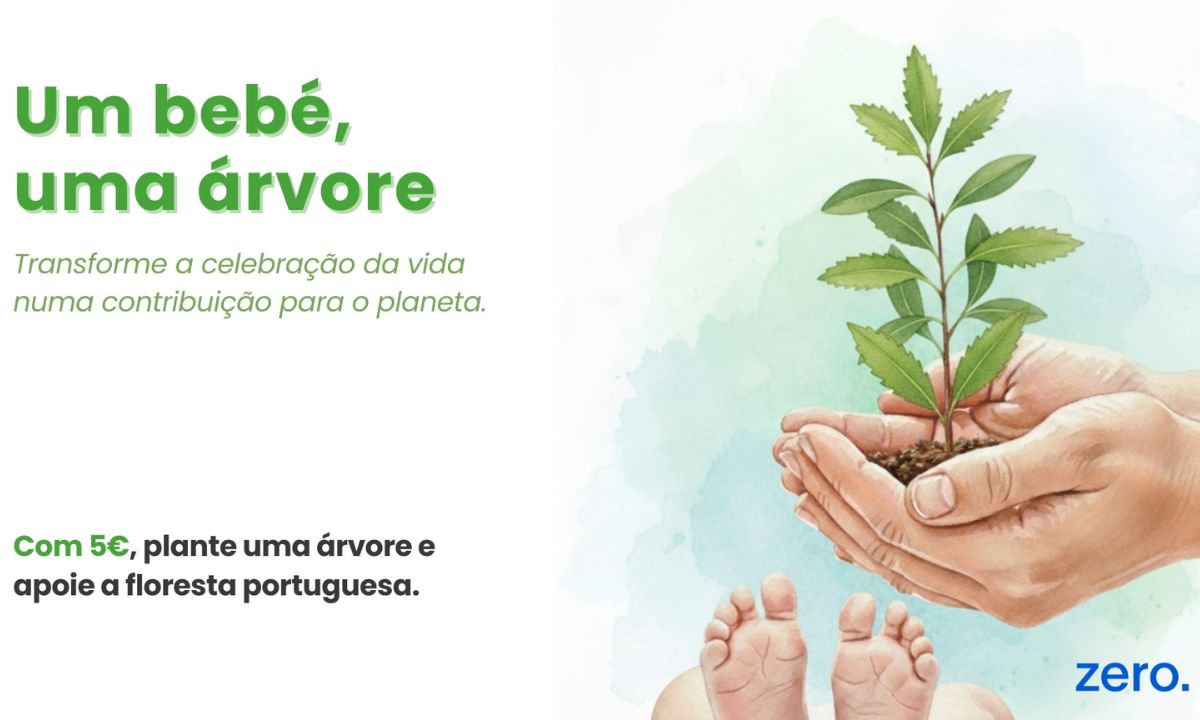 ZERO lança campanha “1 Bebé, 1 Árvore” e convida portugueses a apoiar a floresta portuguesa