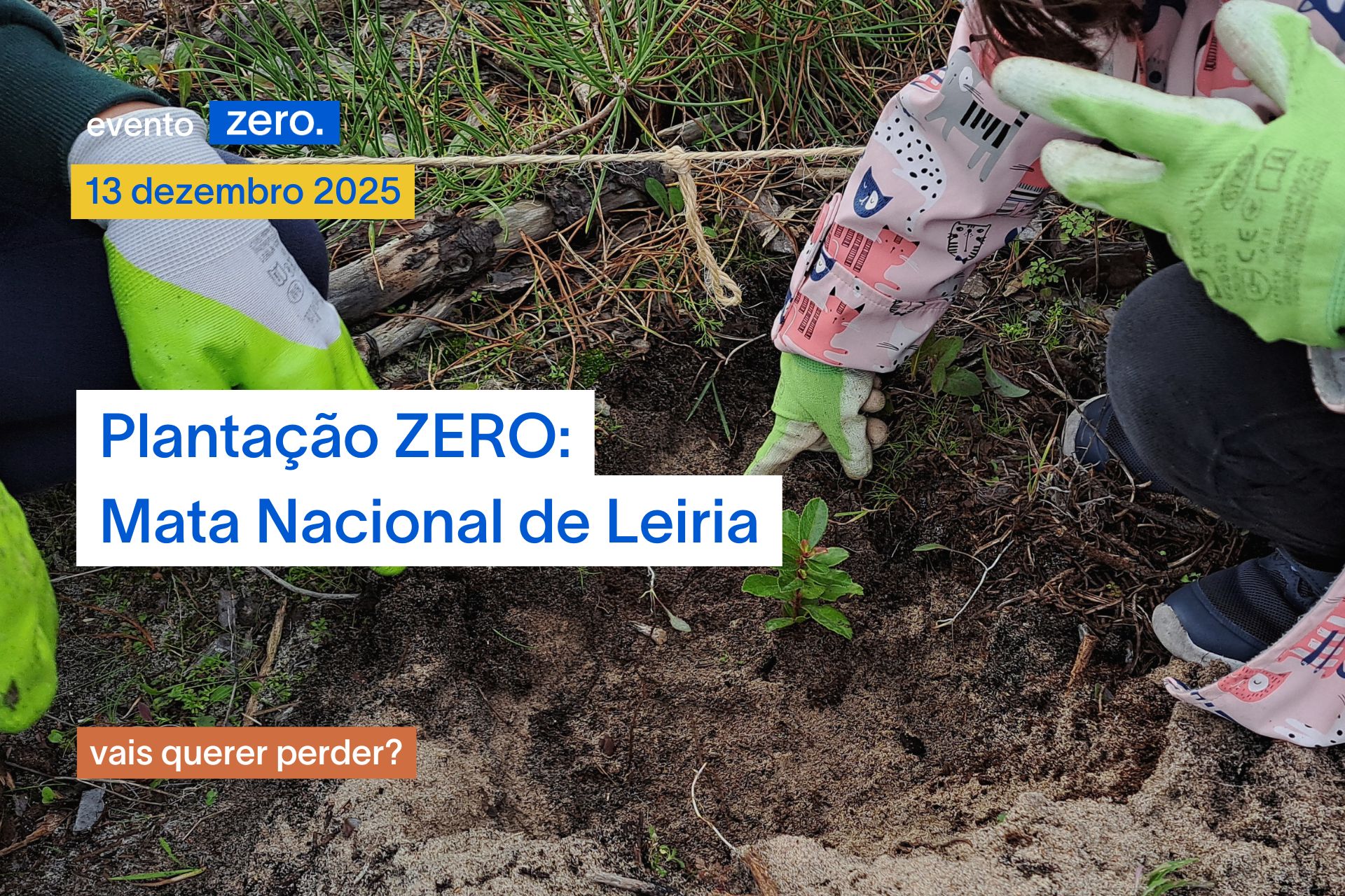 Plantação ZERO: 13 dezembro – Mata Nacional de Leiria