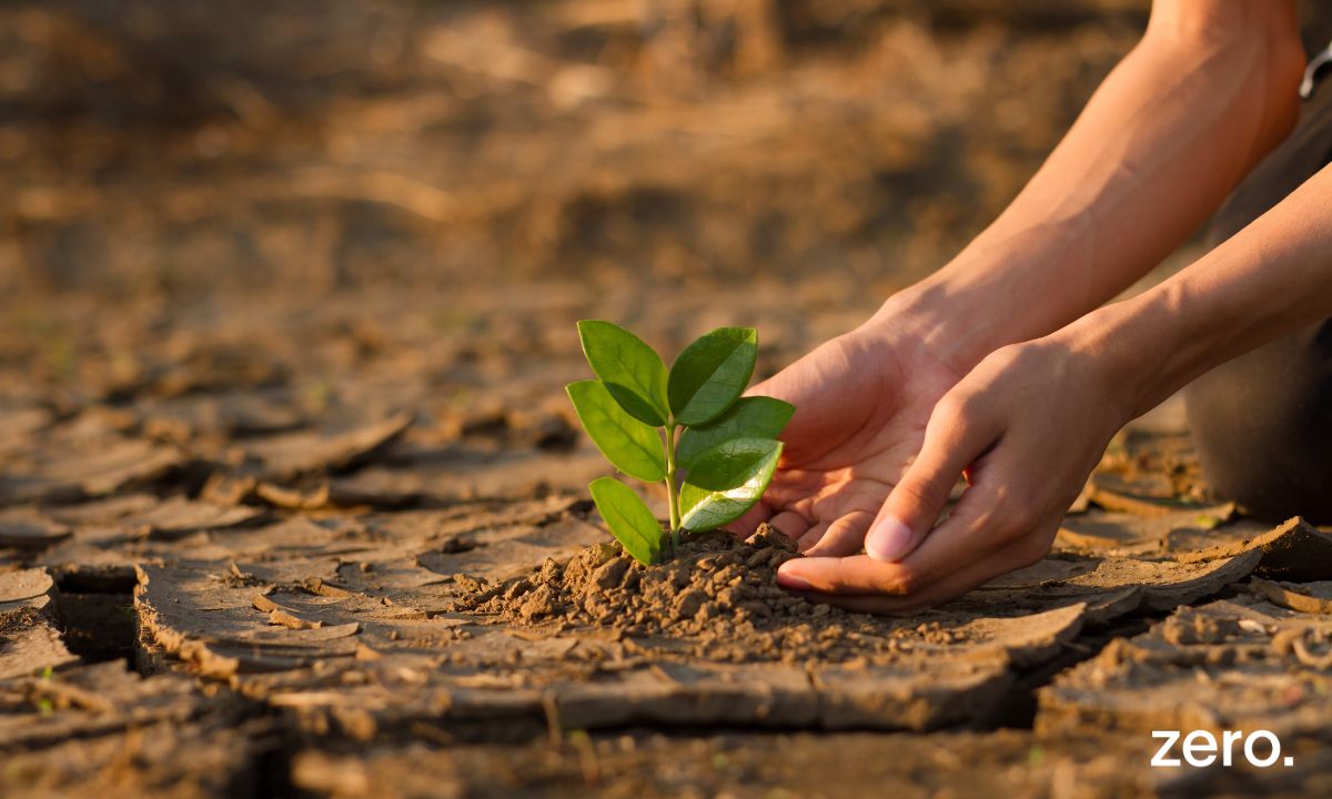 COP30 Clima – Mutirão sem rumo, exclui roteiro para abandonar combustíveis fósseis