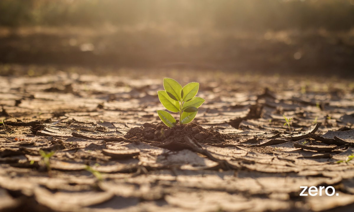 Acordo de Paris: dez anos com progressos visíveis, mas ainda insuficientes