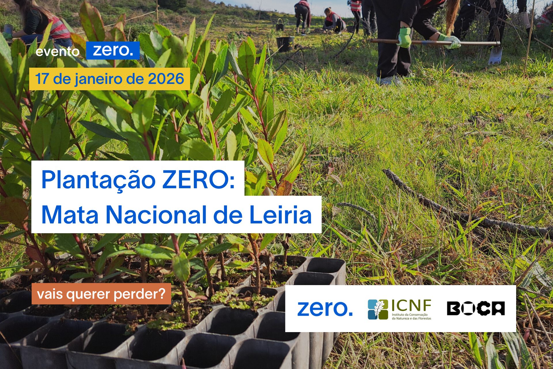 Plantação ZERO: 17 de janeiro – Mata Nacional de Leiria