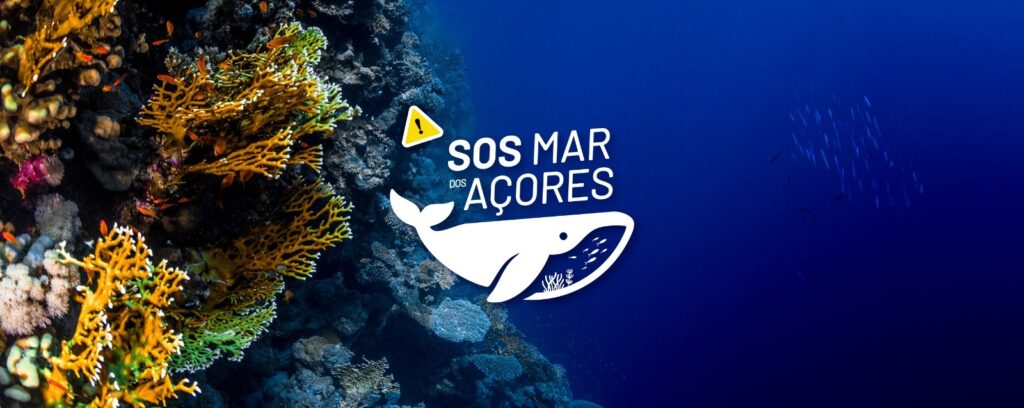 ZERO lança campanha para defender zonas de proteção total do Parque Marinho dos Açores