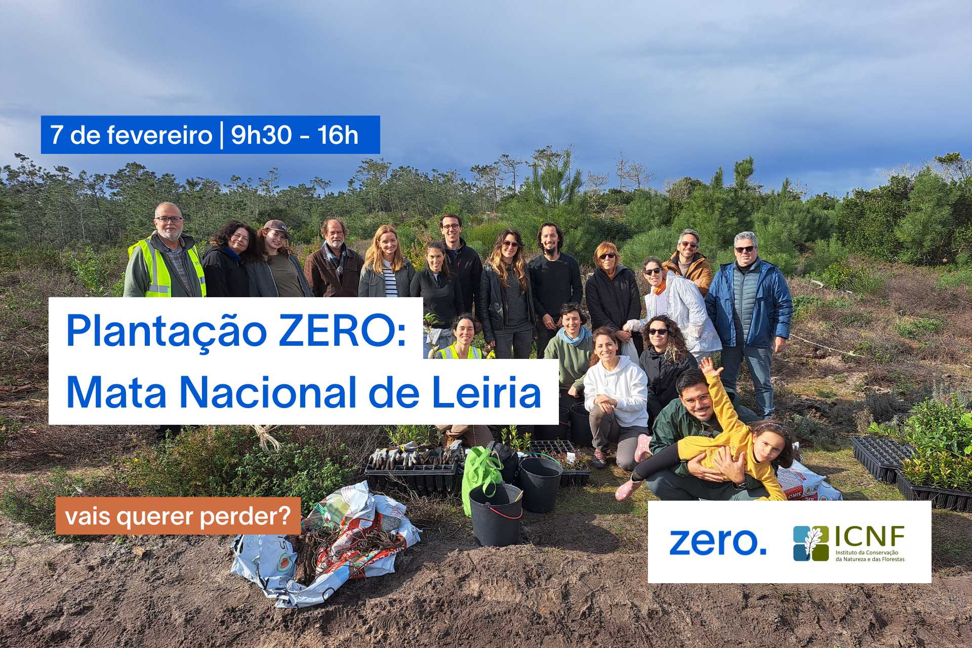 grupo de plantacao de arvores na mata de leiria