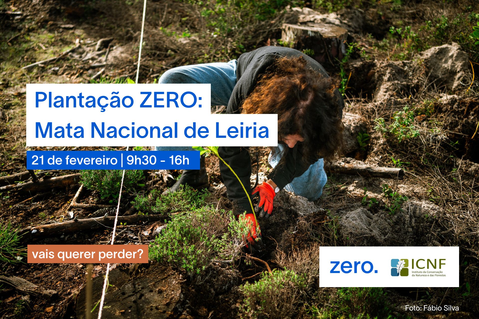 Plantação ZERO: 21 de fevereiro – Mata Nacional de Leiria