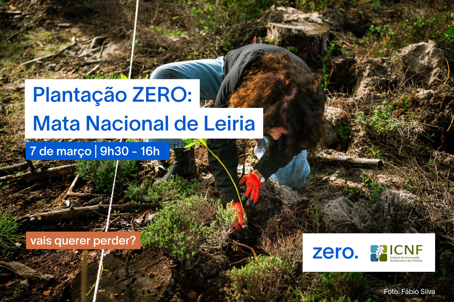 Plantação ZERO: 7 de março – Mata Nacional de Leiria