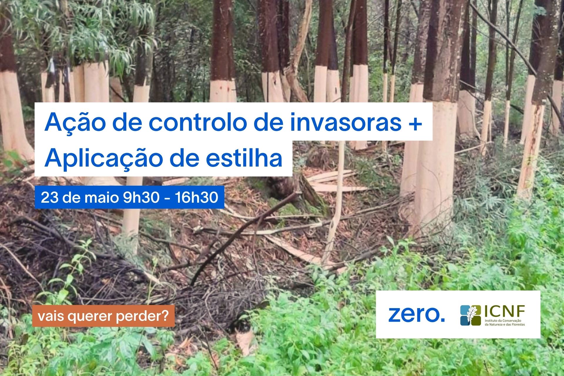 Ação de controlo de invasoras + aplicação de estilha: 23 de maio | Mata Nacional de Leiria