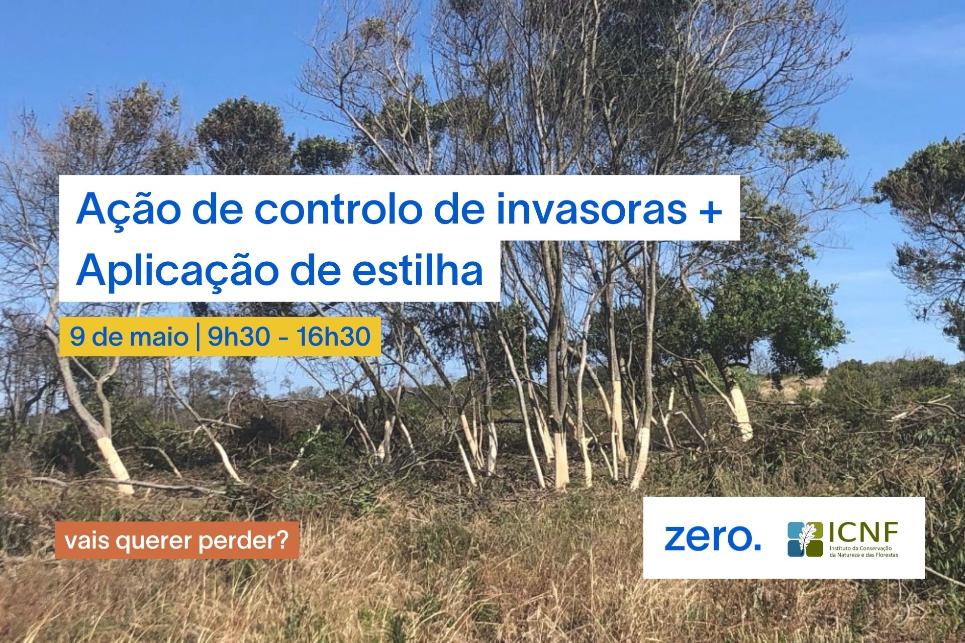 Ação de controlo de invasoras + aplicação de estilha: 9 de maio | Mata Nacional de Leiria