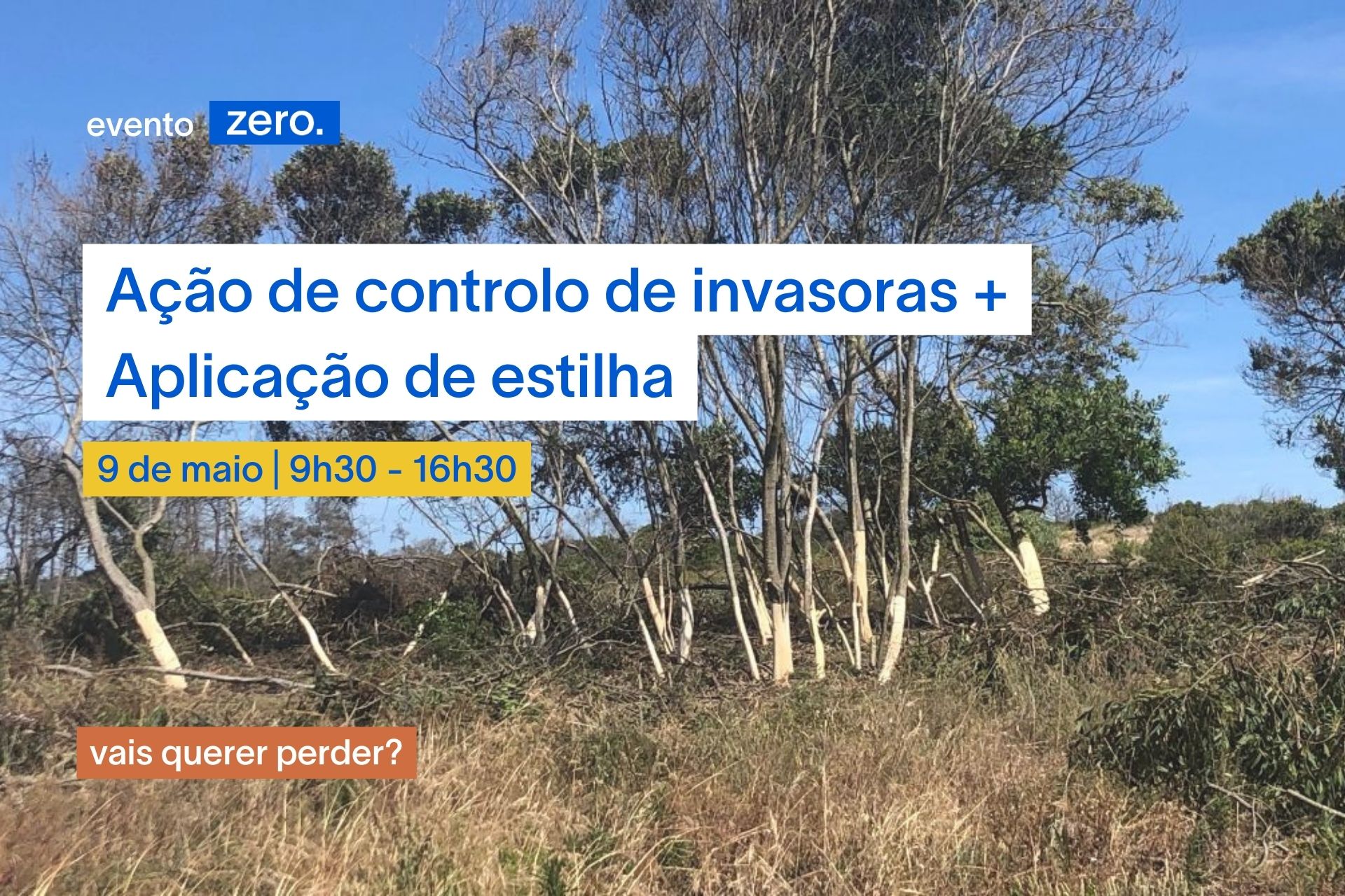 Ação de controlo de invasoras + aplicação de estilha: 9 de maio | Mata Nacional de Leiria